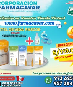 Coctel de Vida Pascoe ( Vitamina C + Pasconal + Cholo 2 + Lymphdiaral + Vitamina B12 )