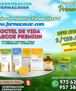 Coctel de Vida Pascoe ( Vitamina C + Pasconal + Cholo 2 + Lymphdiaral + Vitamina B12 ) + KIT INTRAVENOSA
