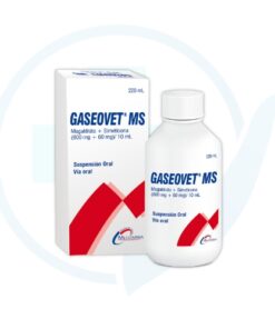Gaseovet MS Jarabe (Magaldrato 800 mg + Simeticona 60 mg) 220 ml